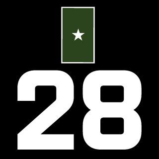 MICHELINI13's emblem