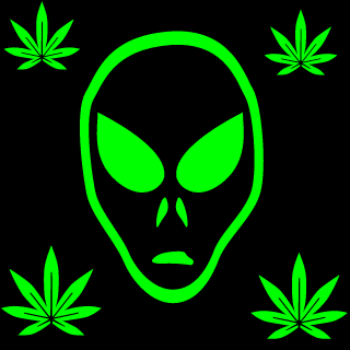 StoinkyyDoinkyy's emblem