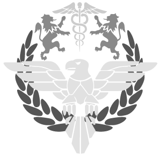 PALADINO_flameja's emblem
