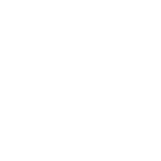VicenteProD's emblem