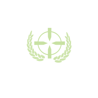 Ranbs141's emblem