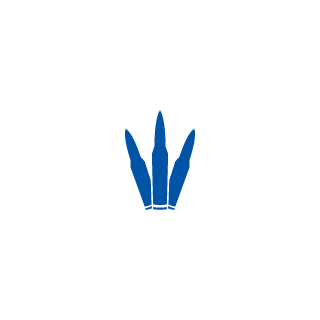 blindogwilly's emblem