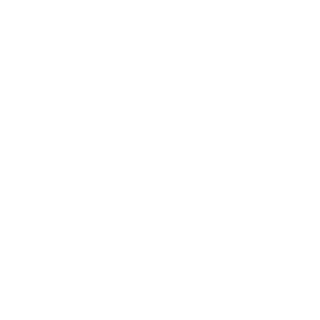 Javyki's emblem