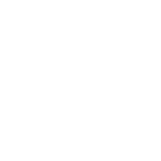 DabShtep's emblem