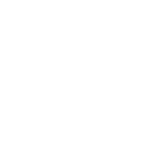 Bnn_exe's emblem