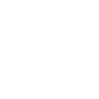 assassinejatt's emblem