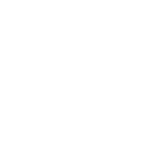 TheIndo123's emblem