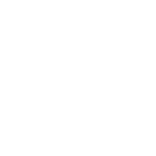 1e0c74624b53a9f9's emblem