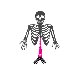 -OFF-Gopota's emblem