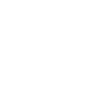 ForcefulShoe's emblem