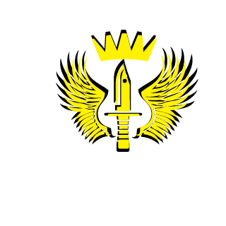Stoeger_kill's emblem