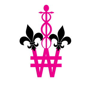 DreamySteam166's emblem