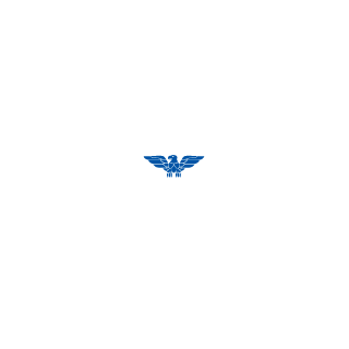 tididi's emblem