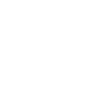PaulusJR's emblem