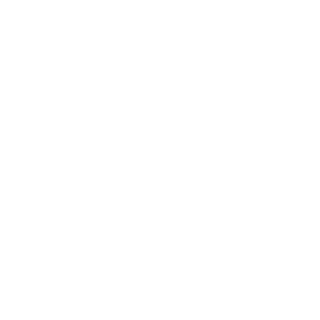 Puzydestroyer_21's emblem