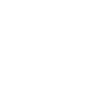 ZeppelinSkySerf's emblem