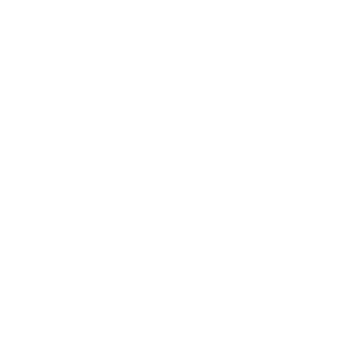 D4ldem's emblem