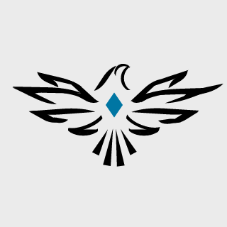 Netsky007's emblem
