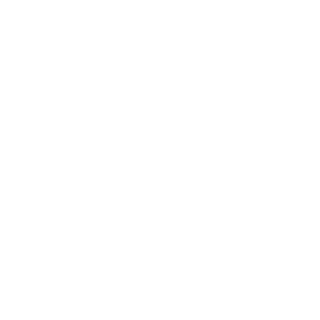 BHL xASSASSIN's emblem