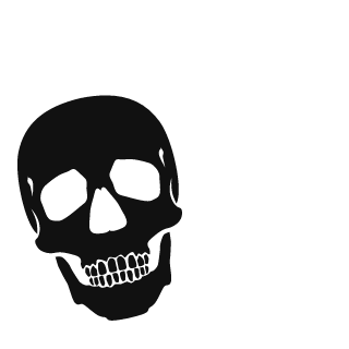 vNSEv's emblem