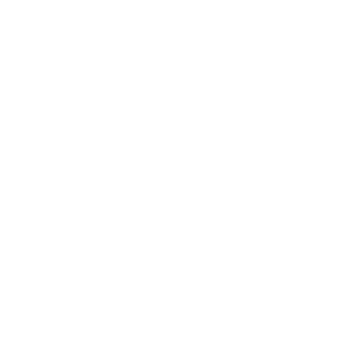 CRay216's emblem