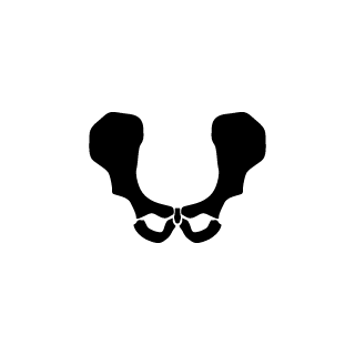 1185462223ee608c's emblem