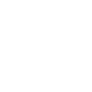 boyterra5's emblem