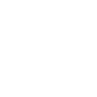 DeepLight2000's emblem