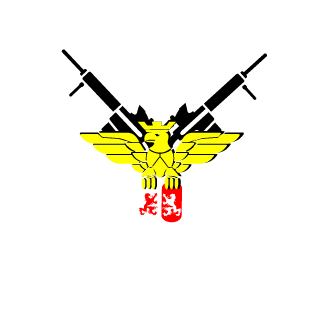 ShadowQZQq's emblem