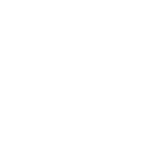 Vainshtein's emblem