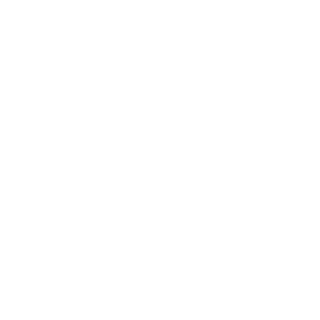 Boomrider's emblem