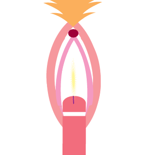 challengersrt8b's emblem