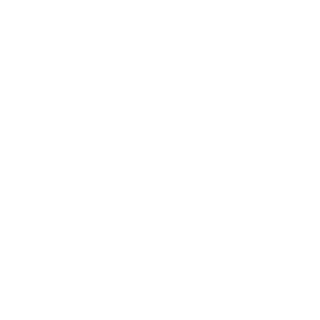 pirolysis's emblem