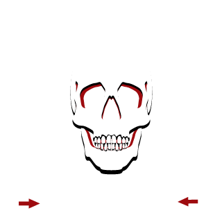v__SATAN__v's emblem