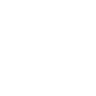 GavrikMZ's emblem