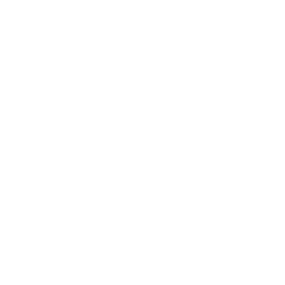 TorukMacaco's emblem