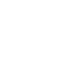 dunno1500's emblem