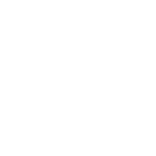 LeAadi101's emblem