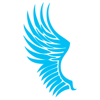 RainRay13's emblem
