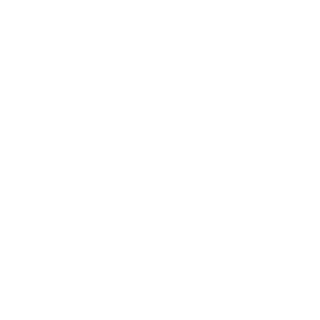 fGGoose's emblem