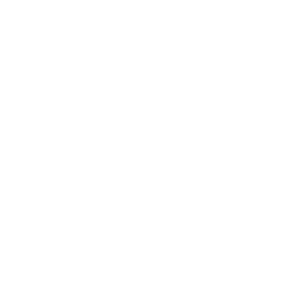 ttl91's emblem