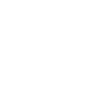 WH1PLASH8's emblem