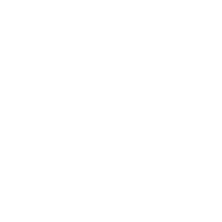 Ac1dPanda's emblem