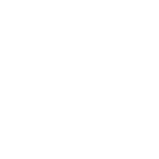 X-Dragon1's emblem