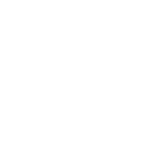 43Fighter's emblem