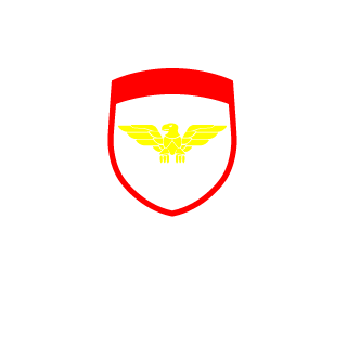 DieggoM's emblem