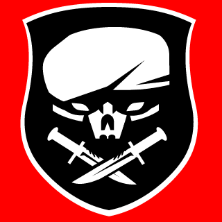 SOLDIER's emblem