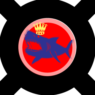 the shark 2014's emblem