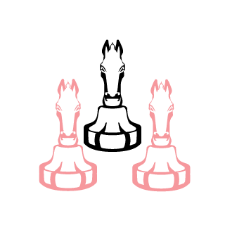 maomao2333's emblem
