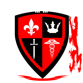 VICE squad's emblem